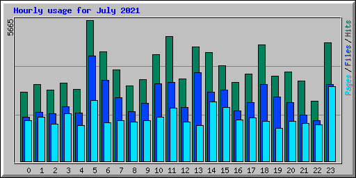 Hourly usage for July 2021