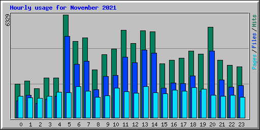 Hourly usage for November 2021